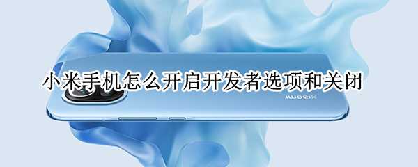 小米手机怎么开启开发者选项和关闭 小米手机怎么关闭开发者选项?
