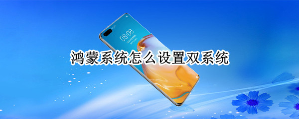 鸿蒙系统怎么设置双系统（鸿蒙系统怎么设置两个系统）
