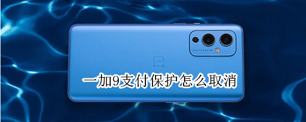 一加9支付保护怎么取消（一加9pro支付保护怎么关了）
