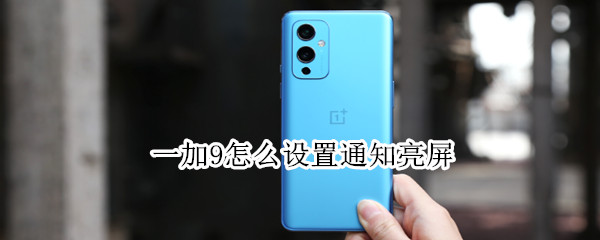 一加9怎么设置通知亮屏（一加9pro通知）