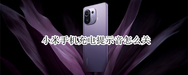 小米手机充电提示音怎么关（小米手机充电提示音关不了）