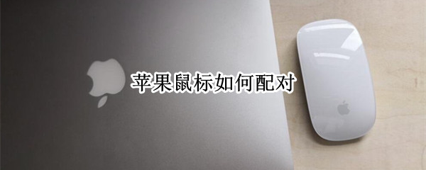 苹果鼠标如何配对 苹果鼠标如何配对pin码
