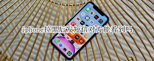 iphone拉黑后发短信对方能看到吗（iphone拉黑后发短信对方能看到吗）