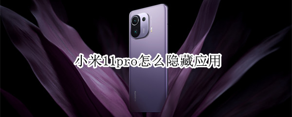 小米11pro怎么隐藏应用 小米11pro隐藏应用怎么打开