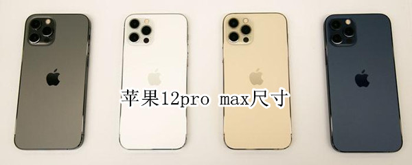 苹果12pro（苹果12pro max）