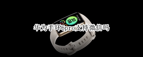华为手环6pro支持微信吗（华为手环6能用微信吗）