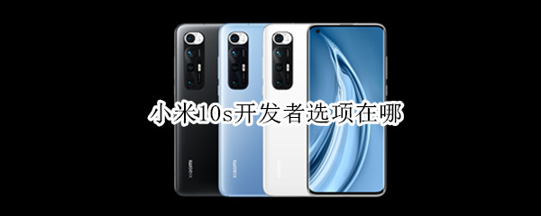 小米10s开发者选项在哪 小米10s开发者选项在哪里关闭