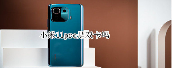小米11pro是双卡吗（小米11pro是双卡双待吗）