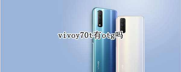 vivoy70t有otg吗 vivoy70s支持OTG功能吗