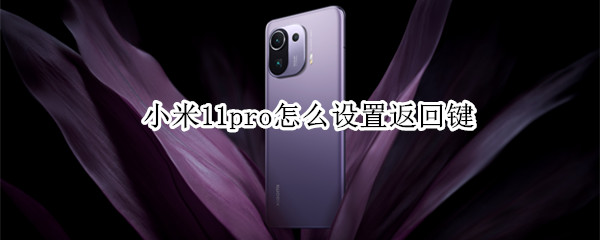 小米11pro怎么设置返回键（小米11pro怎么设置返回键在桌面）