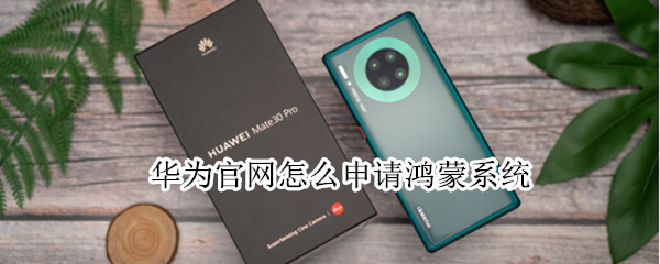 华为官网怎么申请鸿蒙系统（华为官网怎么申请鸿蒙系统）