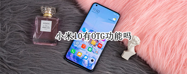 小米10有OTG功能吗（小米10支持ota吗）