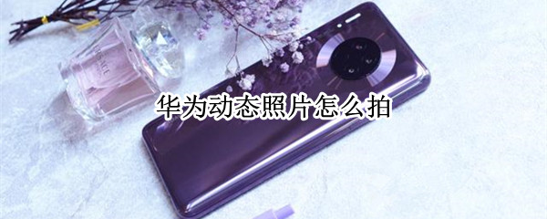 华为动态照片怎么拍（华为动态照片怎么拍久一点）
