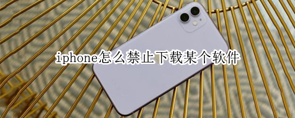 iphone怎么禁止下载某个软件 苹果怎么才能禁止下载软件