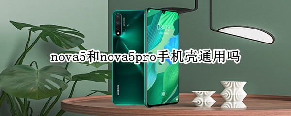 nova5和nova5pro手机壳通用吗（华为nova和nova5pro手机壳通用不?）