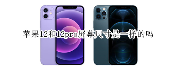 苹果12和12pro屏幕尺寸是一样的吗（苹果12和12pro屏幕尺寸是一样的吗）