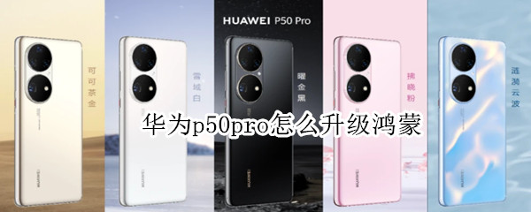 华为p50pro怎么升级鸿蒙 华为p50pro怎么升级鸿蒙系统