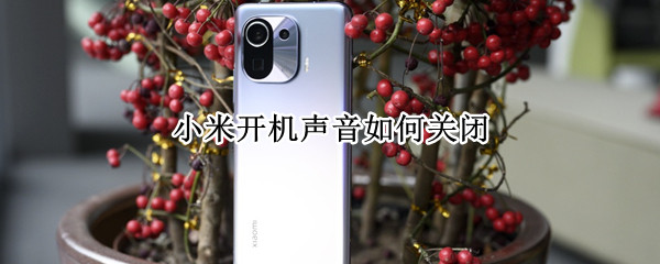 小米开机声音如何关闭（小米怎样关闭开机声音）