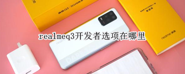 realmeq3开发者选项在哪里 realme q开发者选项