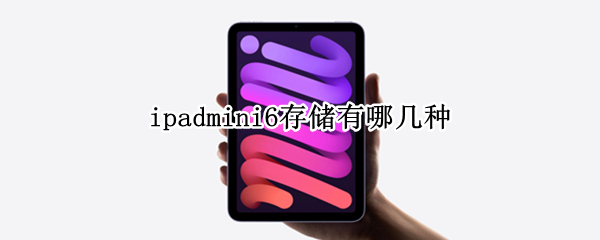 ipadmini6存储有哪几种（iPadmini6买哪个容量）