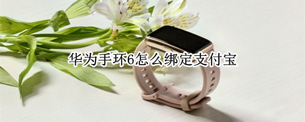 华为手环6怎么绑定支付宝（华为手环6怎么绑定支付宝步数）