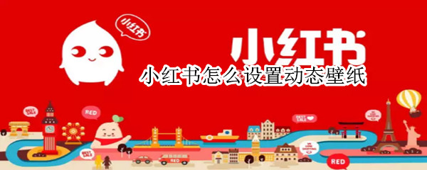 小红书怎么设置动态壁纸 vivo手机小红书怎么设置动态壁纸