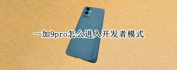 一加9pro怎么进入开发者模式 一加9如何进入开发者模式