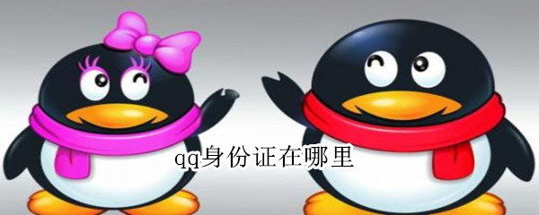 qq身份证在哪里 如何查个人身份证号