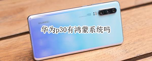 华为p30有鸿蒙系统吗 华为p30有鸿蒙系统吗知乎