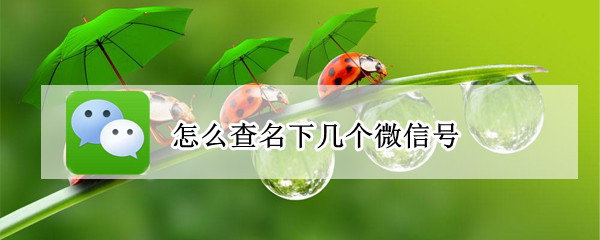 怎么查名下几个微信号 怎么查名下几个微信号的
