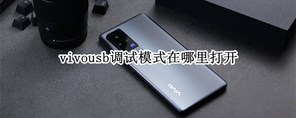 vivousb调试模式在哪里打开 VIVOUSB调试