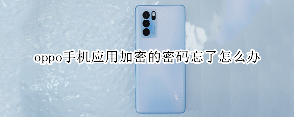 oppo手机应用加密的密码忘了怎么办 oppo手机应用加密的密码忘了怎么办您父亲名字是