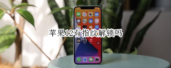 苹果12有指纹解锁吗（苹果12指纹在哪里设置的）