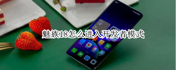 魅族18怎么进入开发者模式 魅族18怎么进入开发者模式设置