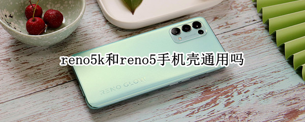 reno5k和reno5手机壳通用吗（opporeno5和reno5k手机壳一样吗）