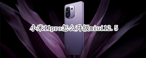 小米11pro怎么升级miui12.5（小米11pro怎么升级miui14）