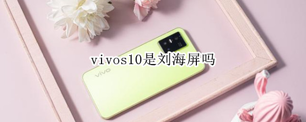 vivos10是刘海屏吗（vivos10是全面屏吗）