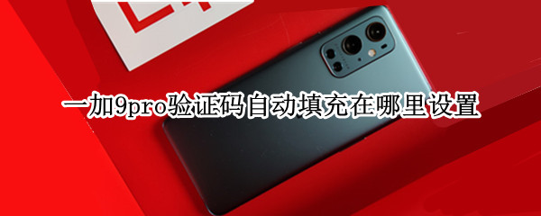 一加9pro验证码自动填充在哪里设置（一加8t验证码自动填写）