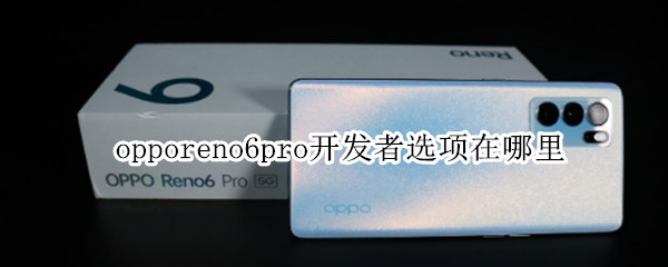 opporeno6pro开发者选项在哪里（oppoReno6开发者选项在哪）