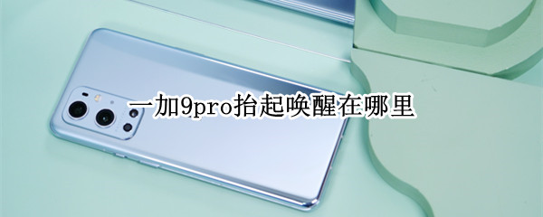 一加9pro抬起唤醒在哪里 一加抬起唤醒在哪里呀