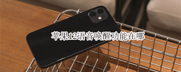 苹果12语音唤醒功能在哪 苹果12语音唤醒功能在哪设置