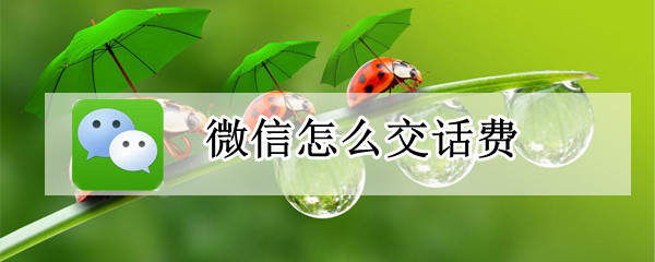 微信怎么交话费（微信怎么交话费20元）