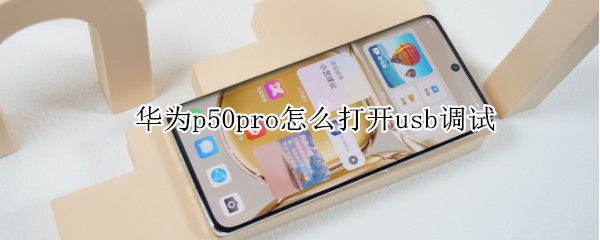 华为p50pro怎么打开usb调试（华为p40pro如何打开usb调试模式）