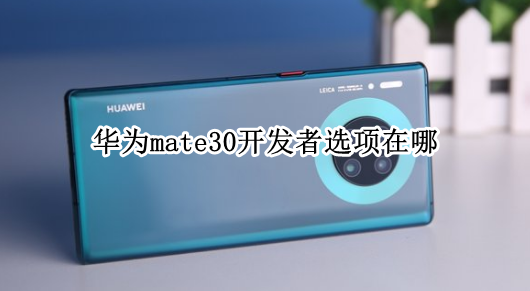 华为mate30开发者选项在哪 华为mate30怎么开发者选项