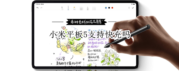 小米平板5支持快充吗 小米平板支持快充吗27W