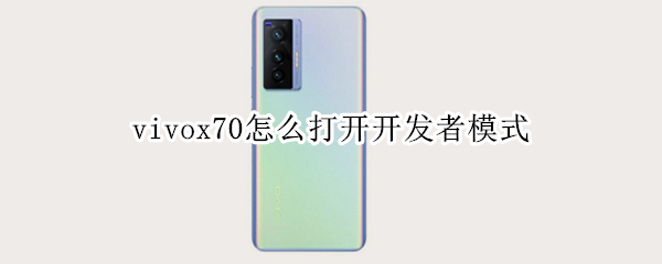 vivox70怎么打开开发者模式（vivox27怎么打开开发者模式）