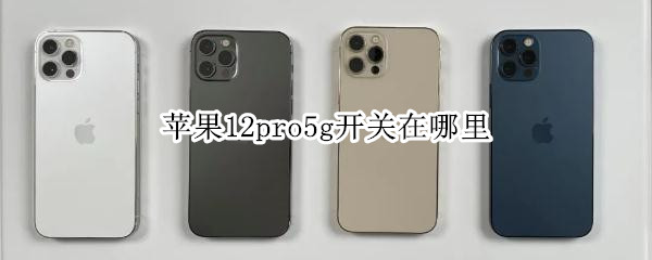 苹果12pro5g开关在哪里 苹果12pro5g怎么开启