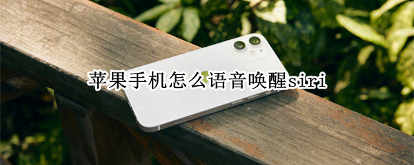 苹果手机怎么语音唤醒siri（苹果手机怎么语音唤醒siri打电话）
