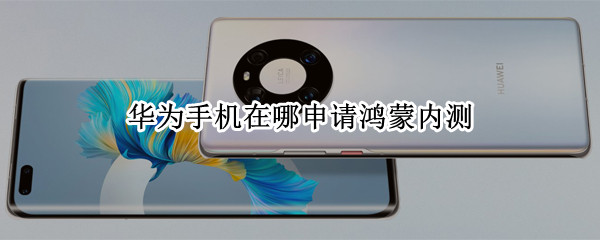 华为手机在哪申请鸿蒙内测 华为鸿蒙公测申请入口