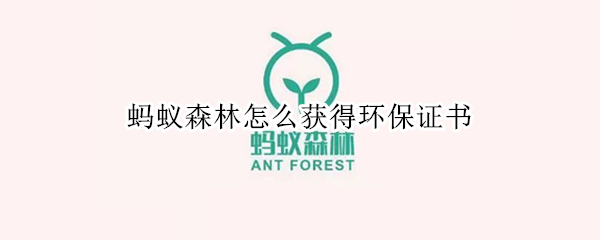 蚂蚁森林怎么获得环保证书（支付宝蚂蚁森林怎么获得环保证书）